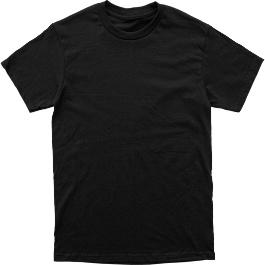 Next Level 3600 Cotton T-Shirt